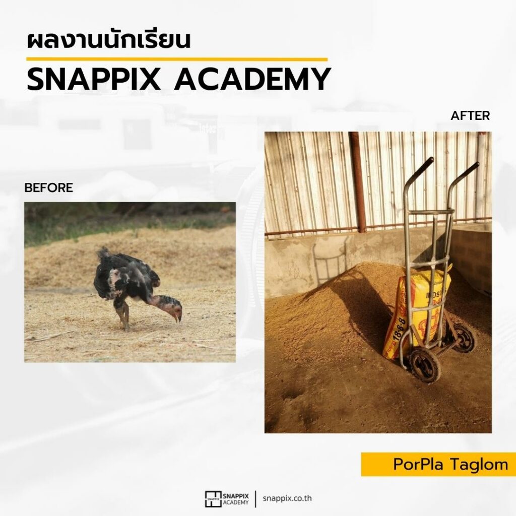 ตัวอย่างผลงานนักเรียน