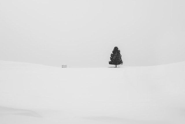 Minimal Landscape photography ภาพถ่าย Minimal คืออะไร